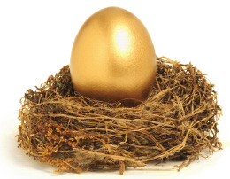 Golden nest egg equity release